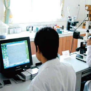 Inspection of Raw Materials  Qualified Inspection of Raw Materials  Qualified
