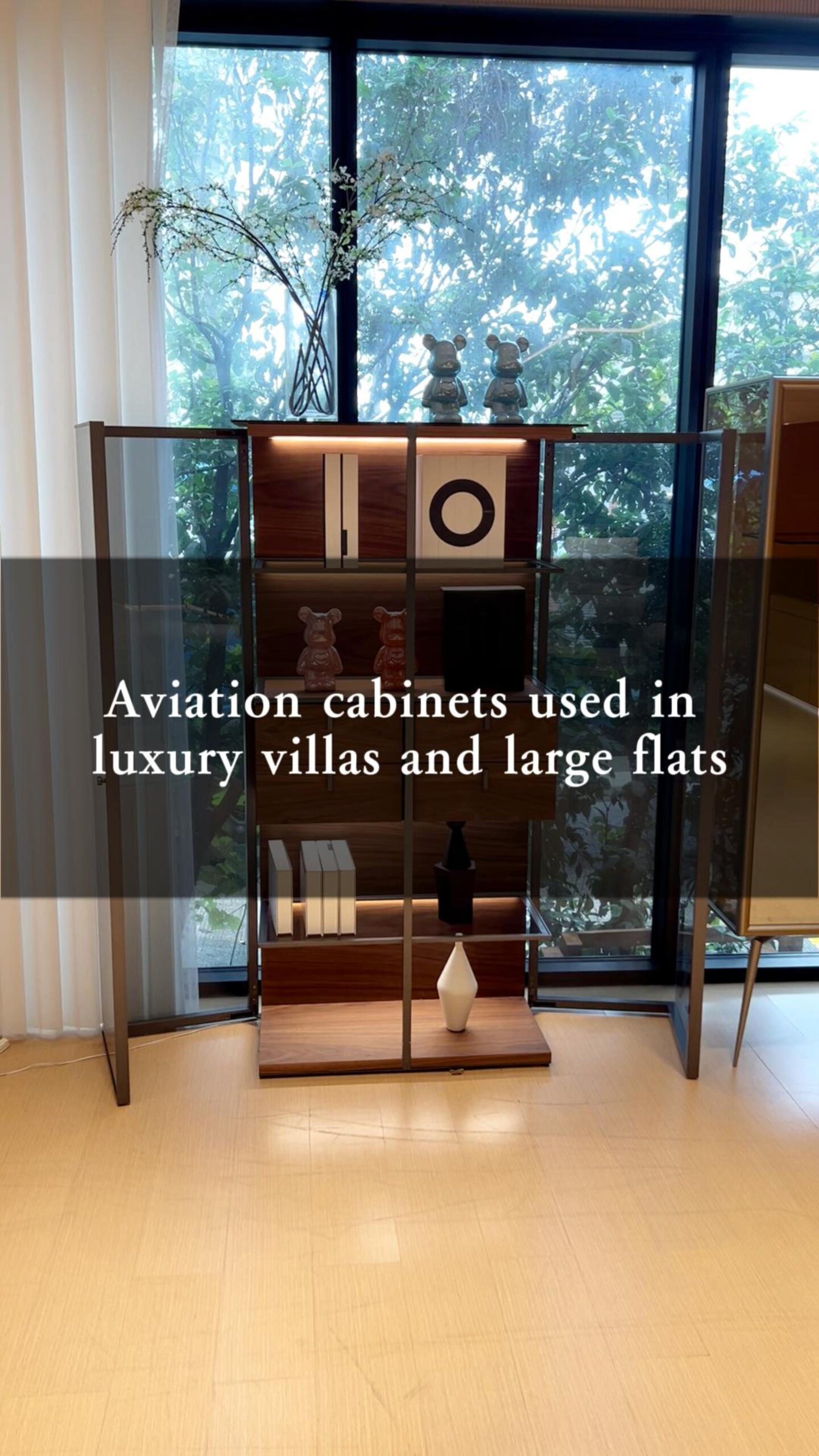 Aviation Cabinet
